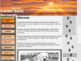 sunsetsaints.com