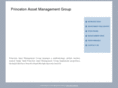 princetonamg.com