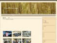 sdcjapan.com