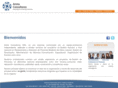 aristaconsultores.com