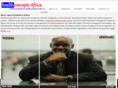 healthconceptsafrica.com