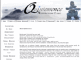 quintessenceacupuncture.com