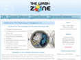 ctwashzone.com