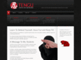 tengumartialarts.com