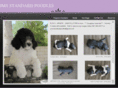 yourstandardpoodle.com