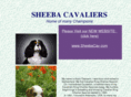 cavalierssheeba.com