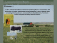 davidsonlonesomedoveranch.com