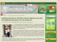 moroleon.gob.mx