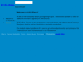 911plus.net