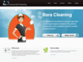 boracleaning.com