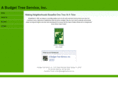 budgettreeservice.com