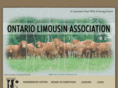 ontariolimousin.com
