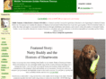 rescueagolden.org
