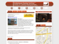 chimneycleaninghouston.com