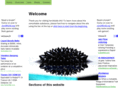 ferrofluids.info