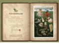 flyleafantiqueartprints.com