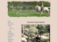madlinehorsemanshipclinics.com