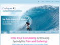 ankylosingspondylitisdiet.com