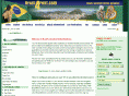brazil4rent.com