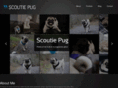 scoutiepug.com