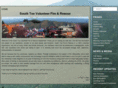southtoefire.com