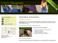 coberlychiropracticia.com