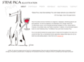 stevepica.com