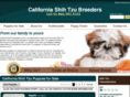 californiashihtzubreeders.com