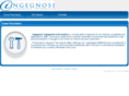 ingegnosi.com