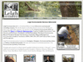 leighenvironmental.com