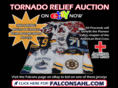 springfieldfalcons.com