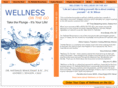 wellnessonthego.com