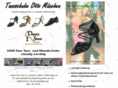 dance-shoe.com