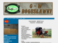 gw-boguslawki.com