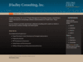 jhadleyconsulting.com