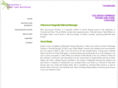 1dragonflyreiki.com