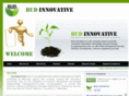 budinnovative.com