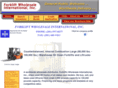 electric-fork-lifts.com