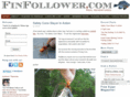 finfollower.com