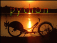 python-lowracer.de