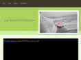 barreiroechanique.com