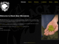 blackbearmicrobrew.com