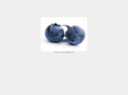blue2berry.com