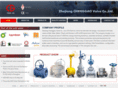 cgvalve.net
