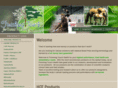 finishingtouchhealth.com