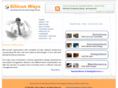 siliconways.net