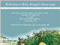 babybengel.com