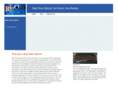 real-time-optical.com