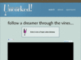 fingerlakesuncorked.com