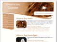 gooseproducers.co.uk